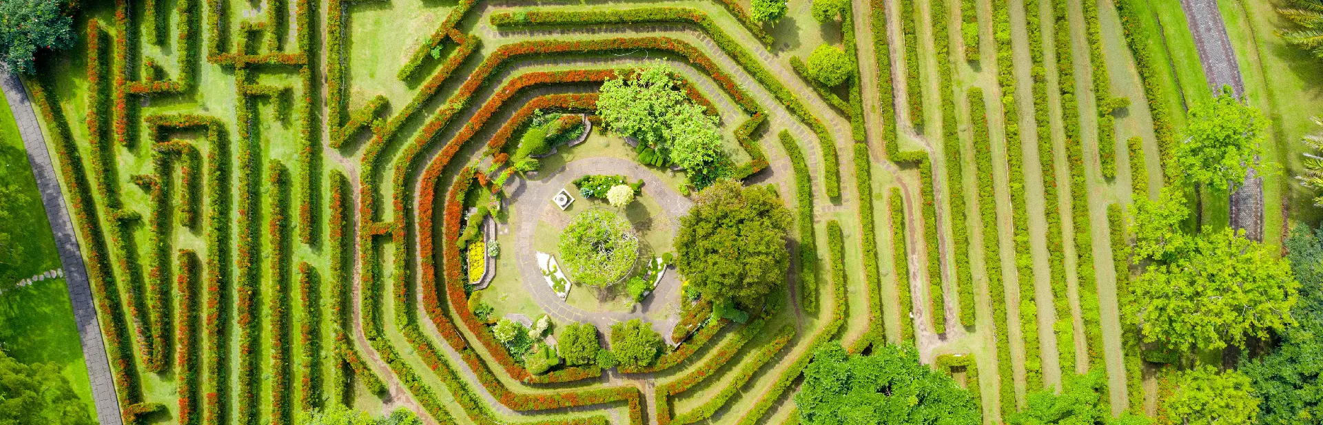 Maze garden